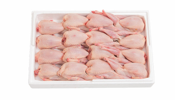 Codorniz halal 16 un
